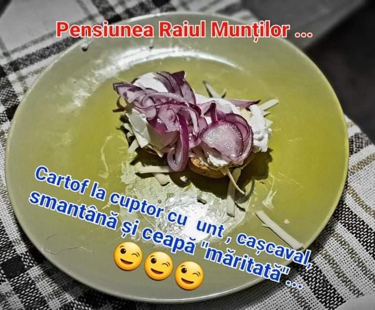 Pensiunea Raiul Muntilor Sebis Экстерьер фото